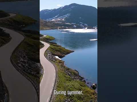 Did You Know A Town in Norway Has 76 Days of Sunlight. #didyouknow  #funfacts  #shorts #travel