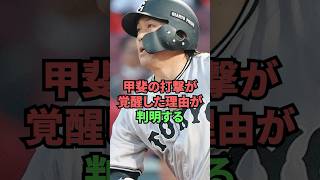 甲斐の打撃が覚醒した理由が判明する