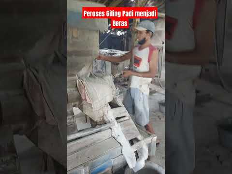 Cara Peroses giling Padi menjadi Beras