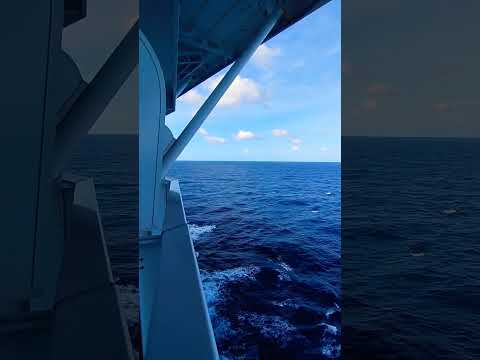 Morning Cruise Vibes #cruise #balcony #royalcaribbean #quantumoftheseas