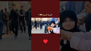 #الذريه #الحسينية #سلام_یا_حسین #سلام #على #ابا_الفضل