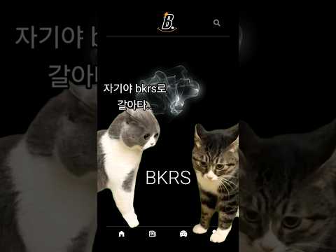 비커스 접속하라!! #고양이밈 #비트모빅 #말하는고양이