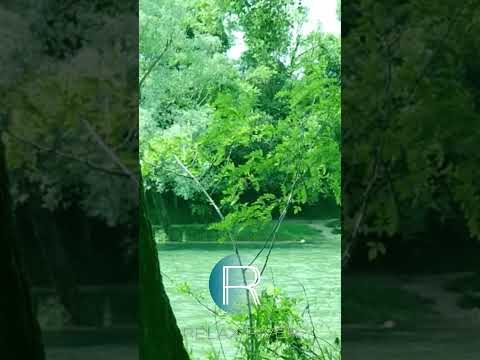 🎶 30 seconds of Tibetan Peace 🥣 #shorts #thaimusic #tibetanbowls