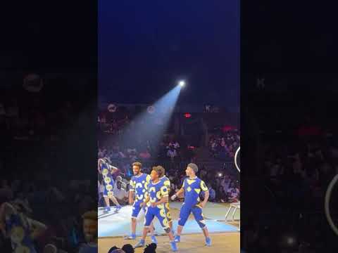 Circus time #circus #live #world #subscribers #fun