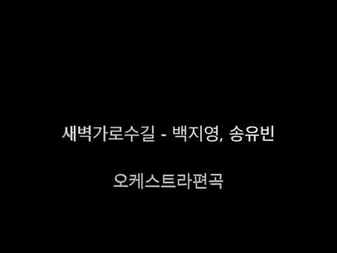 새벽가로수길 - 백지영, 송유빈 오케스트라 편곡