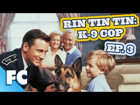 Rin Tin Tin: K9 Cop | Season 2 Episode 03: A Family Affair | Full Free HD Dog Comedy TV Show