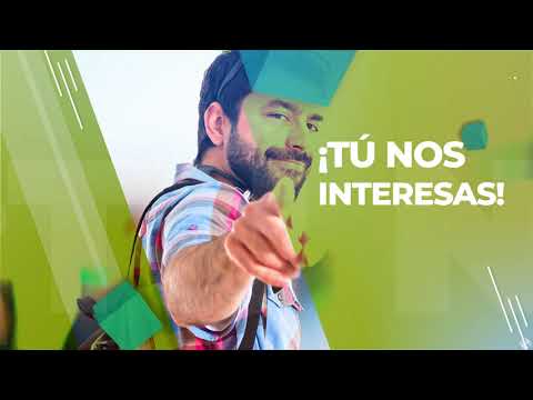Estrategia de Comunicación multimedia - Bambú Reservado