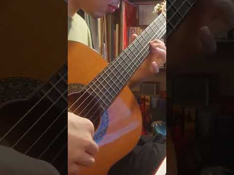 The Fischl Riff #fischl #fingerstyle #genshinimpact
