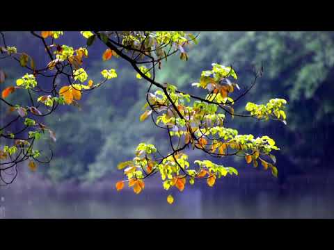 Fall Asleep to Soothing Instrumental Music