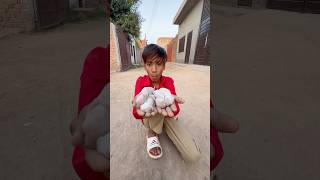 Rabbit baby mil gaye 😍 #shorts #youtubeshorts #rabbit #rescue