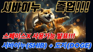 (시바이누) 결국 예상한대로 되었네요!!! 우주여행도 코인으로!!!