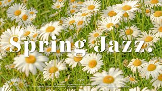 [Playlist] 아직 봄을 보낼 수 없어🌼 싱그러운 봄날 같은 재즈 플레이리스트 / Spring Jazz Piano Music / Instrumental Jazz Music