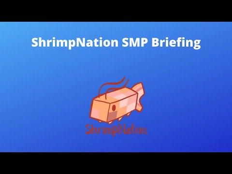 ShirmpNation Minecraft Server Briefing