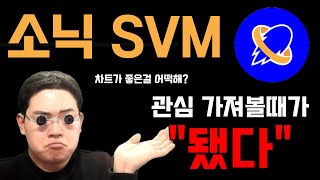 소닉SVM 이제는 진짜 바닥이 "나왔다" 원래 이때는 잘 안보는데 얘는 너무 좋습니다.. #소닉