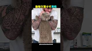 動物を驚かす男性