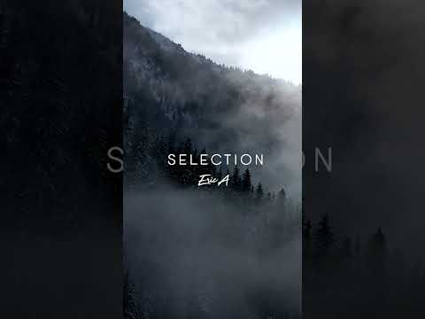 Are you ready for Selection Vol.3?