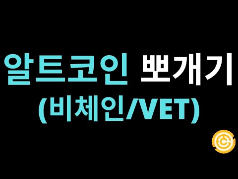 알트코인 뽀개기 7탄 (비체인/VET)