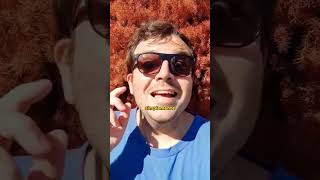 ¿Qué es SOUND ON? La agregadora digital de música de TikTok | Herramientas & Beneficios |