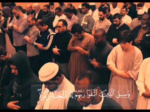 وسيق الذين اتقوا ربهم إلى الجنة زمرا