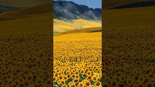 Unreal place on earth 🌍 #place #touristattractions #beautfulplace #mostamazingplaces #viral#short