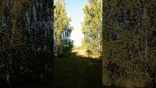 жизнь мир #осознание #мир #nature #природамира #познаниемира