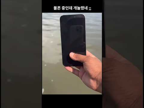 몰폰 중 개놀랐네