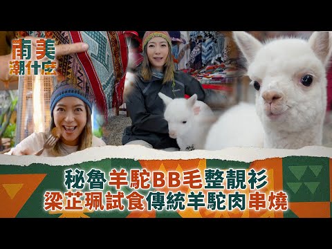 南美潮什麼｜秘魯羊駝BB毛整靚衫 梁芷珮試食傳統羊駝肉串燒｜梁芷珮Christy｜旅遊 攻略 景點｜TVB綜藝