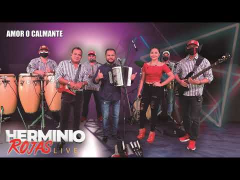 Amor o Calmante (en vivo) - Herminio Rojas y El Ritmo Sensacional