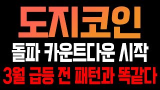 [도지코인 코인전망] 돌파 카운트다운 시작! 3월 급등전 패턴과 똑같다!!