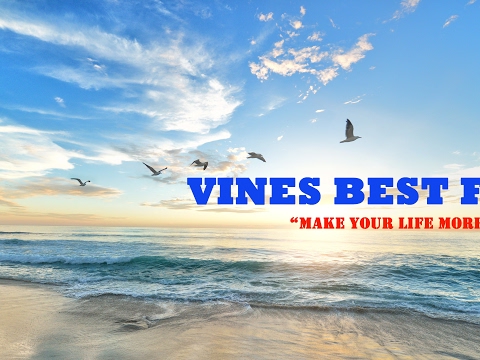 Luồng trực tiếp của best fun Vines