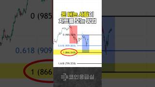 제가 예측하는 방법입니다 | 알트코인과 지수 차트 분석법