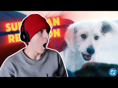Superman (2025) - Trailer Reaction