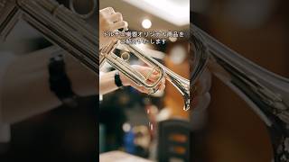 【金管楽器】ブラスセーフティードレーン | Dolce Brass Safety Drain  #trumpet