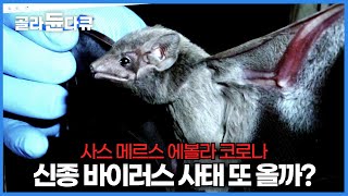 전세계를 마비시킨 바이러스 사태. 인간을 숙주로 삼는 최악의 바이러스의 탄생 과정｜전염병의 습격｜글로벌 특선다큐｜#골라듄다큐