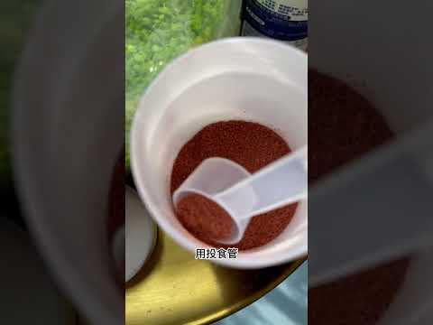 鱼虾投食管，防止鱼粮四处飘散，还能培养小鱼定点吃饭提高互动观赏性#鱼虾投食管 #观赏鱼 #喂鱼