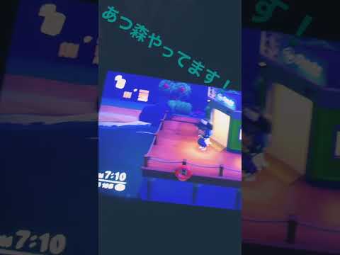 ＃あつ森　見てねん