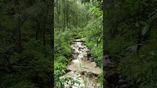 Travel with nature
