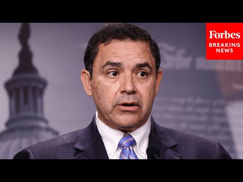 Henry Cuellar Urger ICE To Request Funds For 'More Support Staff' To Improve Operations