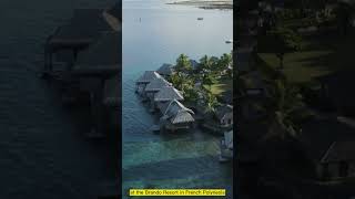Hidden Havens: The World’s Most Luxurious Private Island Resorts