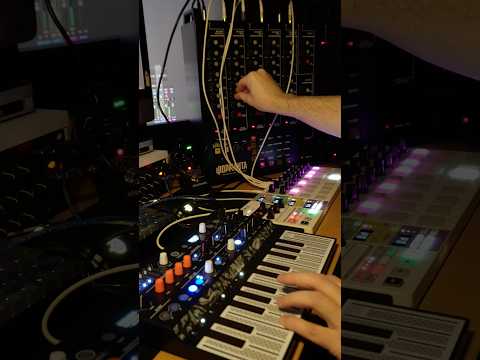 Test drive for this drum synth⚡️⚙️ #infektomorph #electronicmusic #dawless #synth