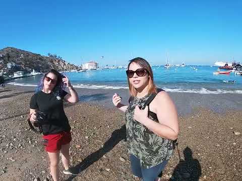Reporting Live from Catalina Island