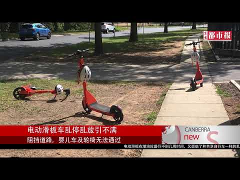 【东方都市报】视频新闻：堪培拉City水管爆裂，工程队连夜抢修！；抓蛇人很忙，这里又发现了小蛇！