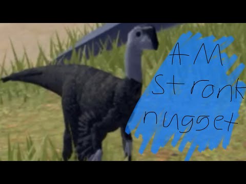 Nugget