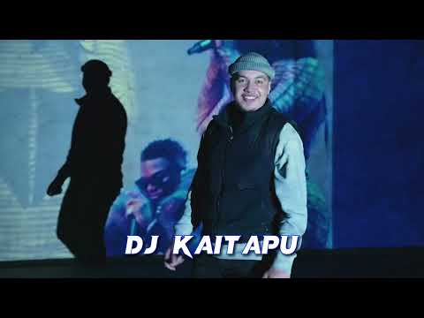 DJ Kaitapu - Fly Down (Remix)