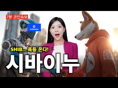 시바이누가 다시 뜨는 이유, 밈코인 홀더가 주목해야 할 3가지 신호