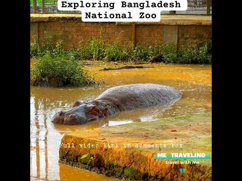 a tour to National Zoo Bangladesh ll বাংলাদেশের জাতীয় চিড়িয়াখানা ভ্রমণ