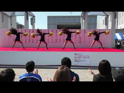 【4K】【社会人チア】 B-ROSE / 横浜ビー・コルセアーズ チアリーダーズ