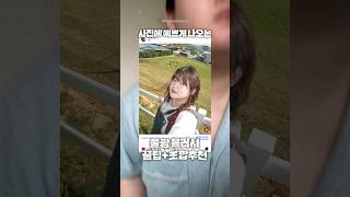 인스타 피드 속 그 물광 블러셔.. 영업비밀 알려드림 | 느좋 사진 꿀팁