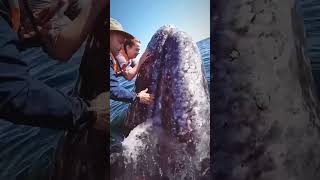 Catching a big one  #creaturefeature #creatures #octopus