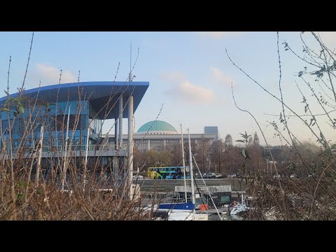 [청계천] 어미잃은 미아鳥 청둥오리 새끼들...!!!